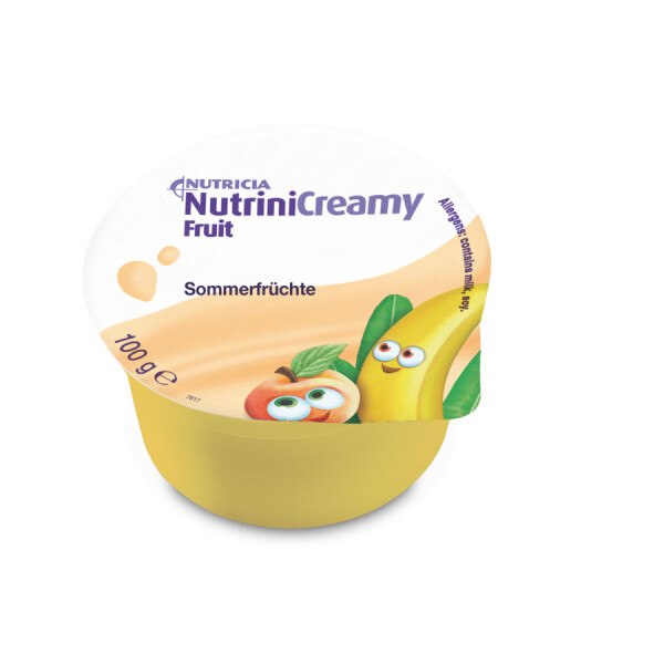 NutriniCreamy Fruit Sommerfrüchte - 48x100g